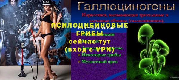 PSILOCYBIN Киренск